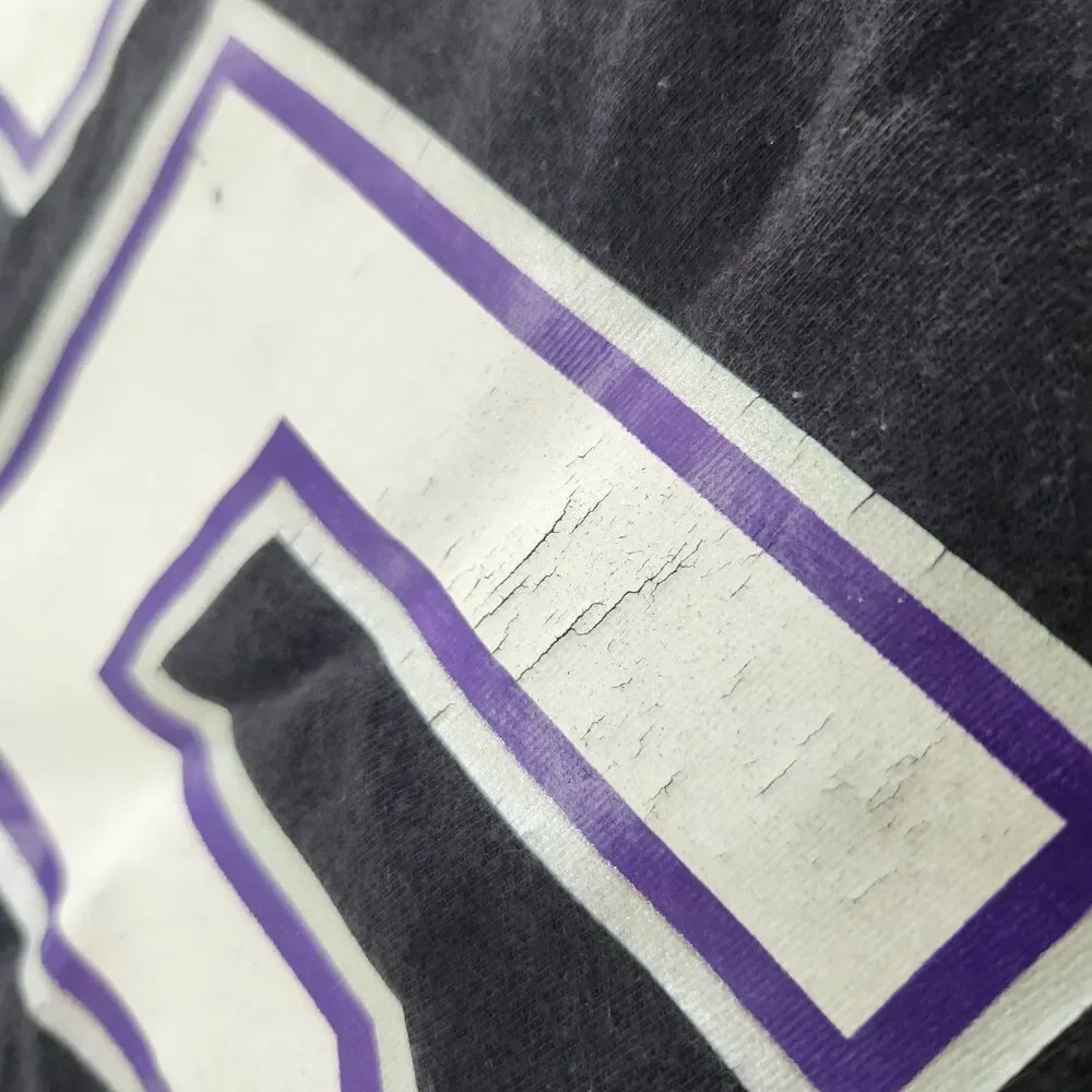 Sacramento Kings Williams 55 Shirt Large Mitchell & Ness Hardwood Classics HWC